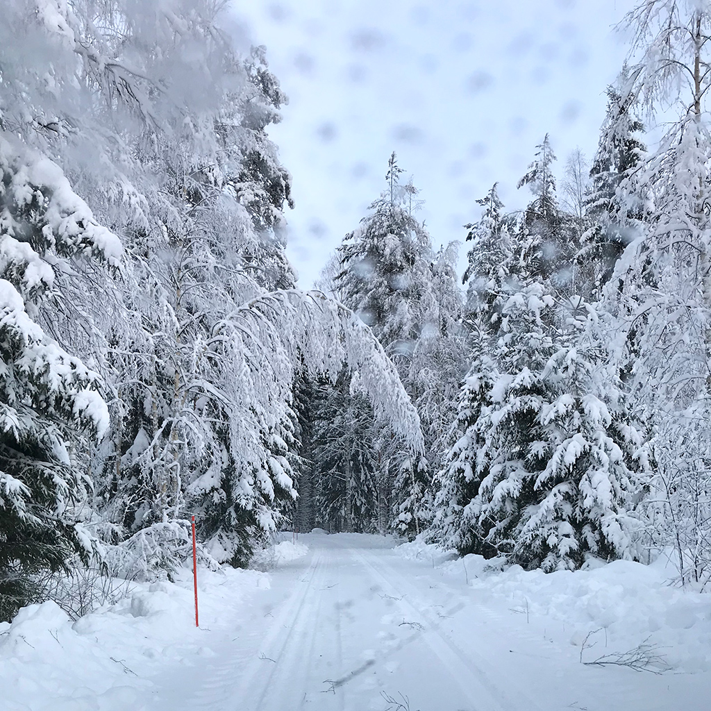 Vuosi 2019 käynnistyi haastavissa merkeissä