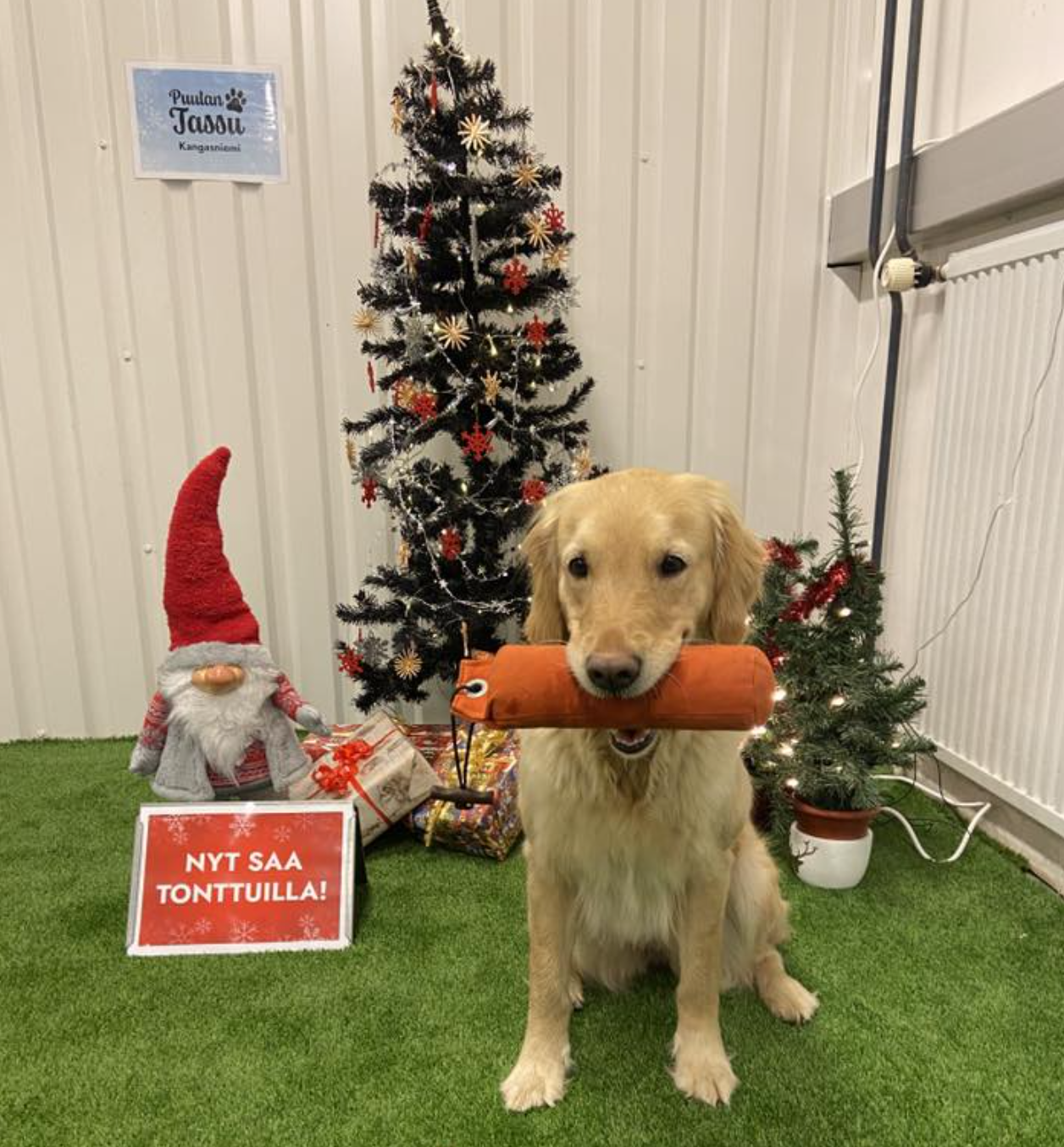 Joulun ja vuodenvaihteen lomatiedote