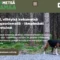 Koirametsä Kangasniemelle!