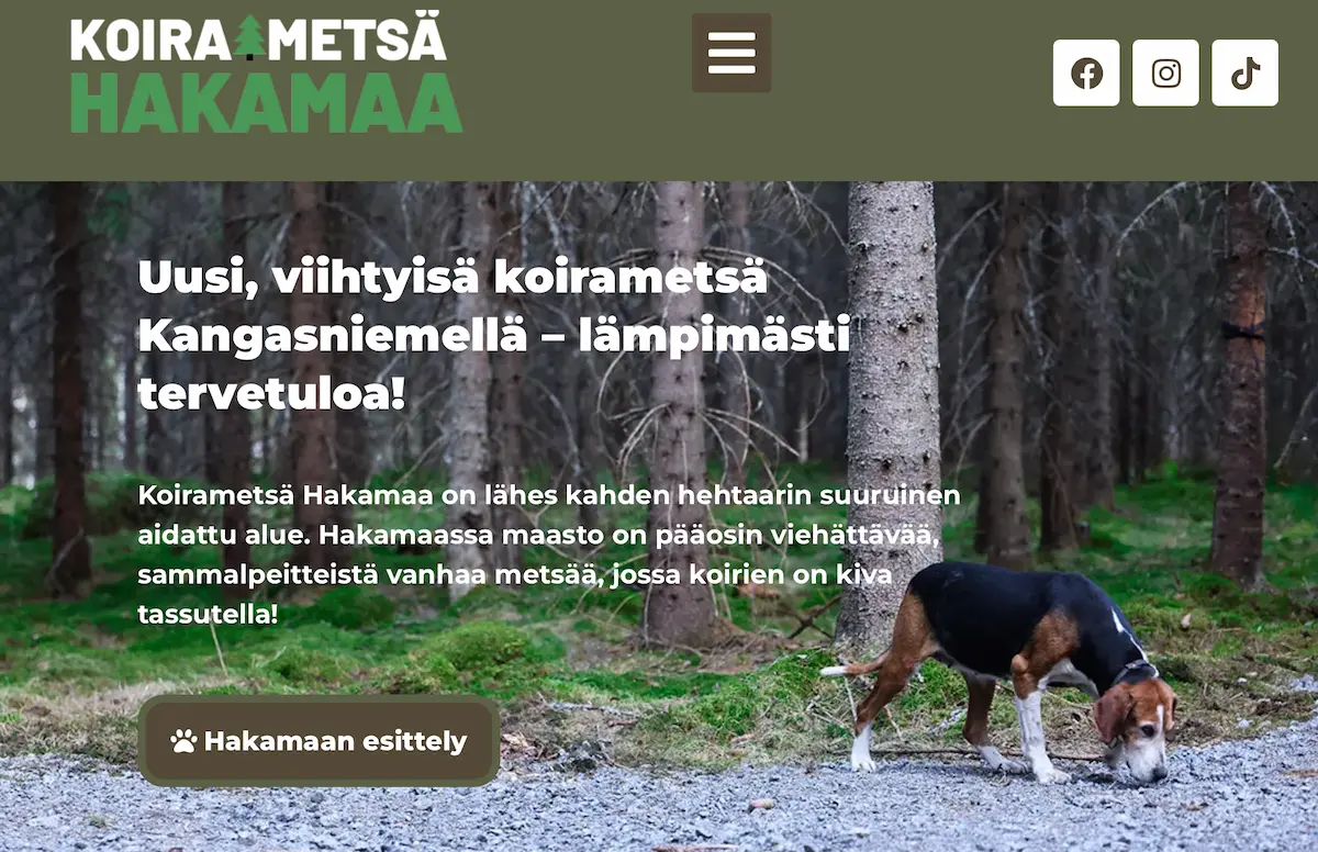 Koirametsä Kangasniemelle!